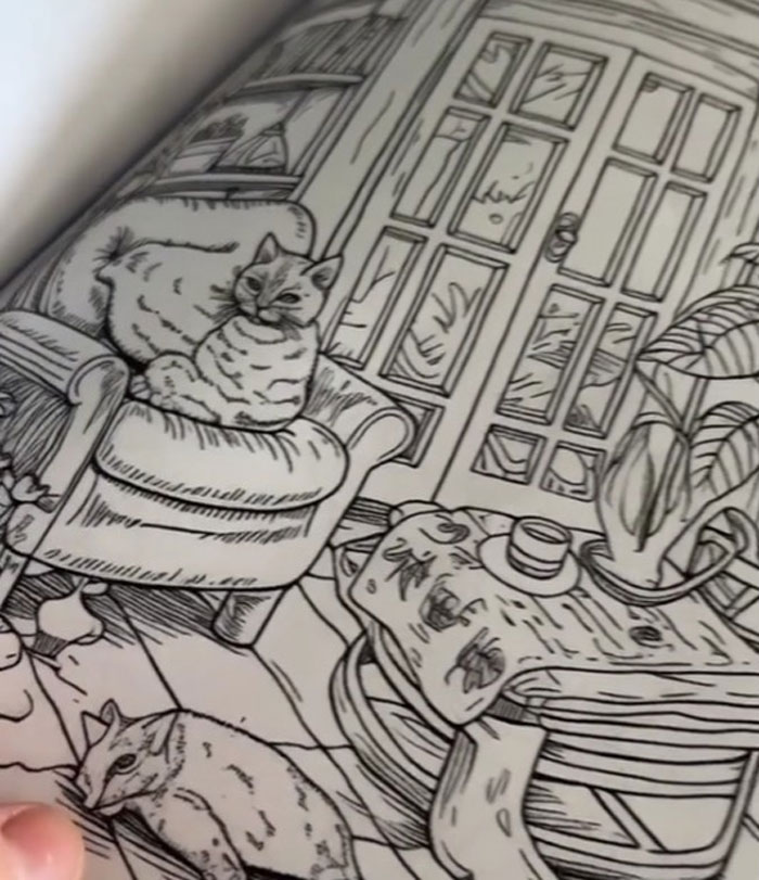 Woman Thinks She Bought A &ldquo;Normal&rdquo; Kitty Coloring Book, Starts Noticing Odd Things About It