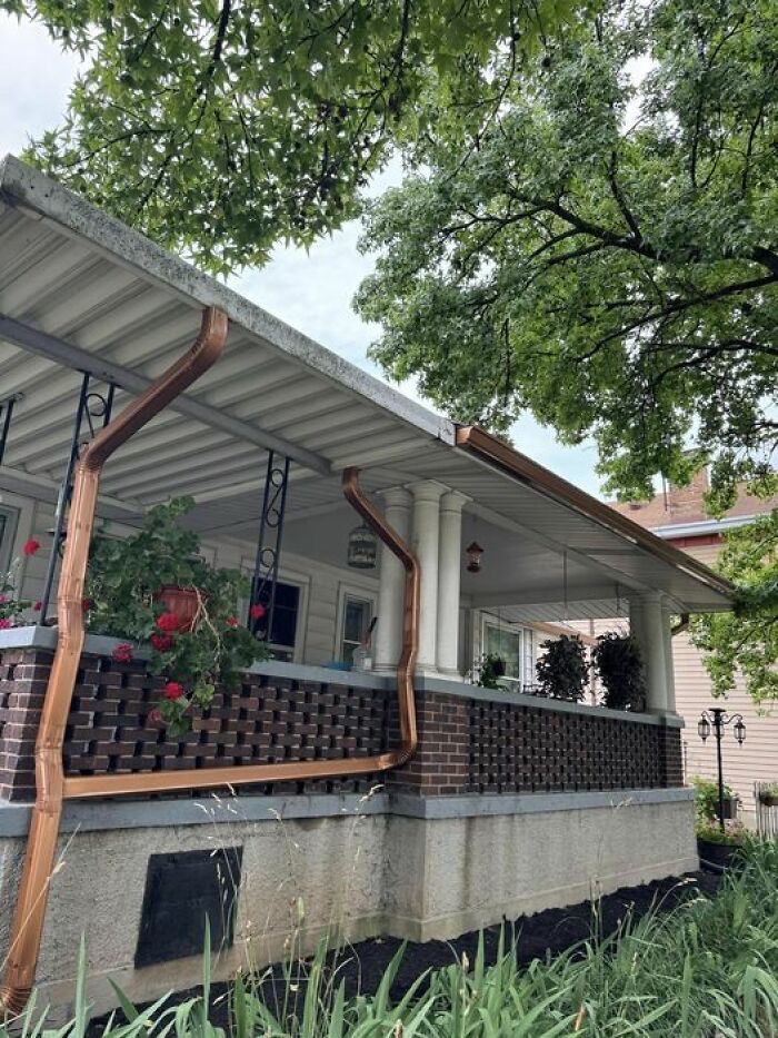 If-Ya-Squint-Its-Mint-Funny-Pictures