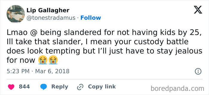 Childfree-Joy-Tweets