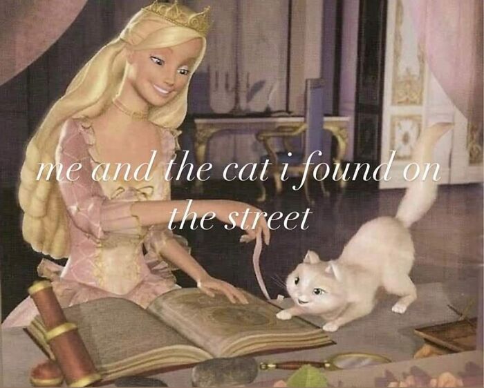 Memes-I-Could-Tag-My-Cat-In-Funny-Pics