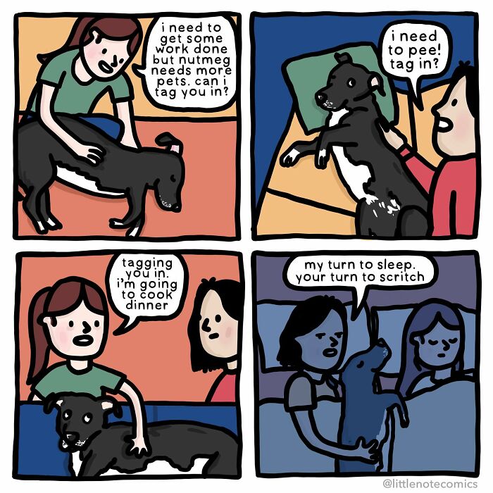 Adventures Of A Dork, A Nerd, And Our Dog Nutmeg: An Insight Into Stephanie's Comic Universe