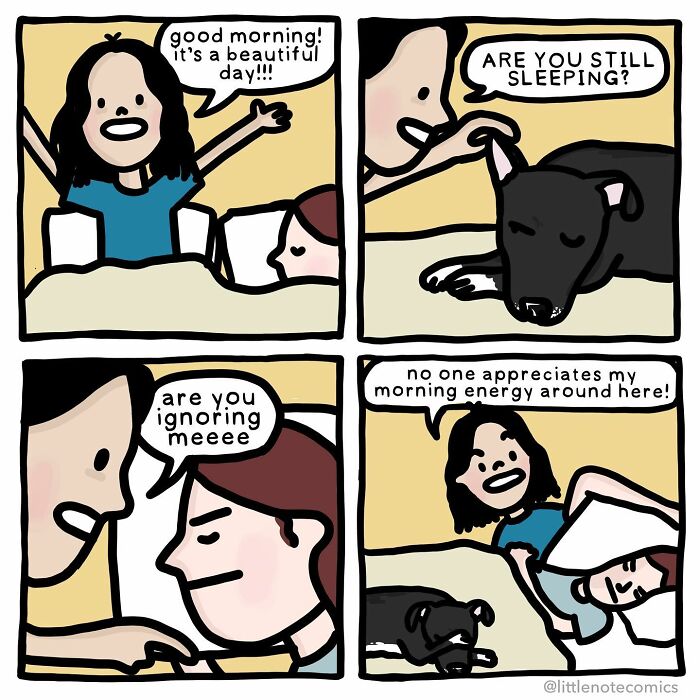 Adventures Of A Dork, A Nerd, And Our Dog Nutmeg: An Insight Into Stephanie's Comic Universe