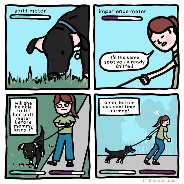 Adventures Of A Dork, A Nerd, And Our Dog Nutmeg: An Insight Into Stephanie's Comic Universe