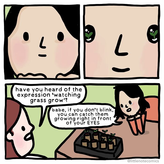 Adventures Of A Dork, A Nerd, And Our Dog Nutmeg: An Insight Into Stephanie's Comic Universe