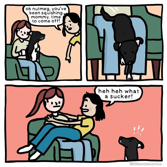 Adventures Of A Dork, A Nerd, And Our Dog Nutmeg: An Insight Into Stephanie's Comic Universe