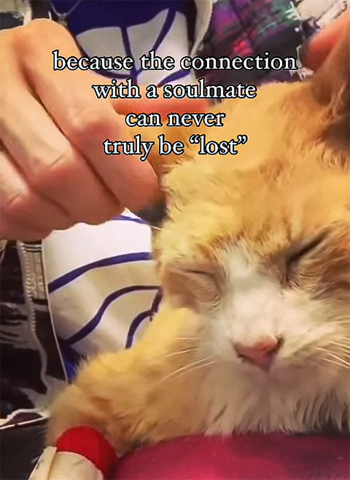 Sarma Melngailis Says She &ldquo;Wasn&rsquo;t Expecting&rdquo; To Lose Her Dog Which She Sought Immortality For