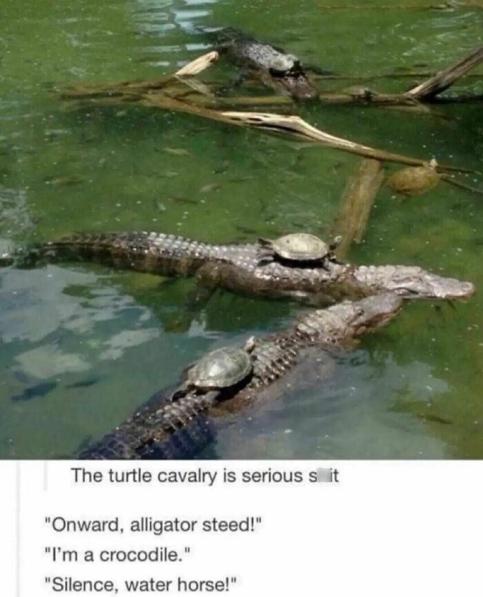 Fun-With-Science-Memes-Quantum-Infinity