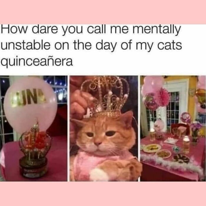 Random-Funny-Memes-Jokes