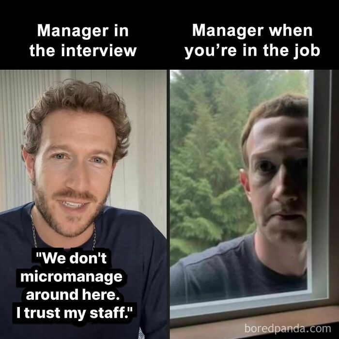 Funny-Work-Memes-Paddyjobsman