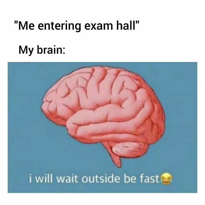 Funny-Epic-Bro-Memes