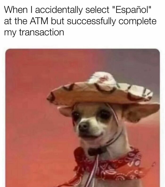 Dog meme wearing a sombrero, captioned about accidentally choosing Spanish at the ATM and successfully completing the transaction.