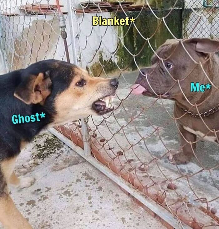 Funny-Epic-Bro-Memes