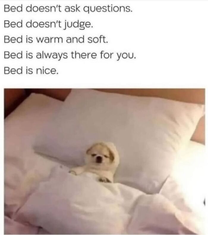 Funny-Epic-Bro-Memes