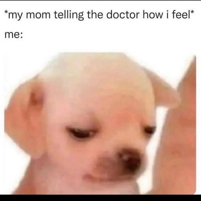 Funny-Epic-Bro-Memes