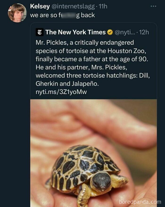 Pets-Rule-The-Universe-Pics