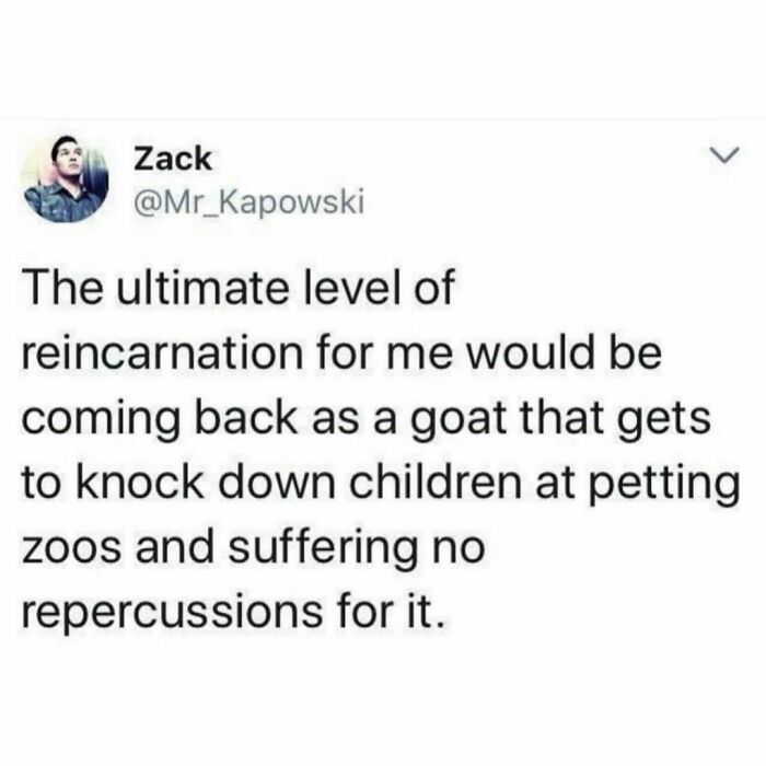 Mind-Numbing-Memes-Themuffreport