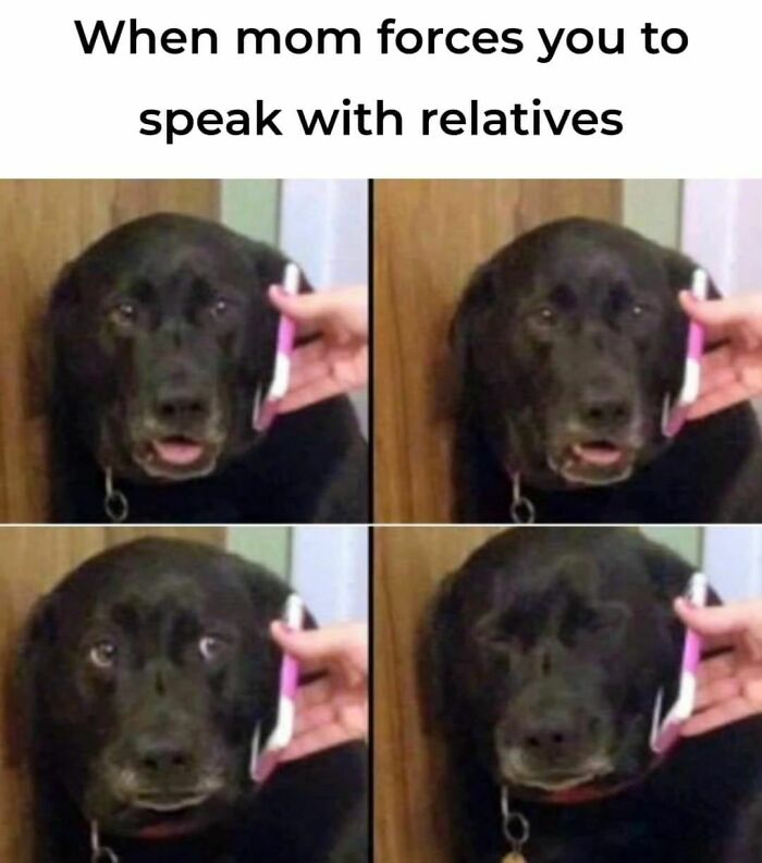 Funny-Epic-Bro-Memes