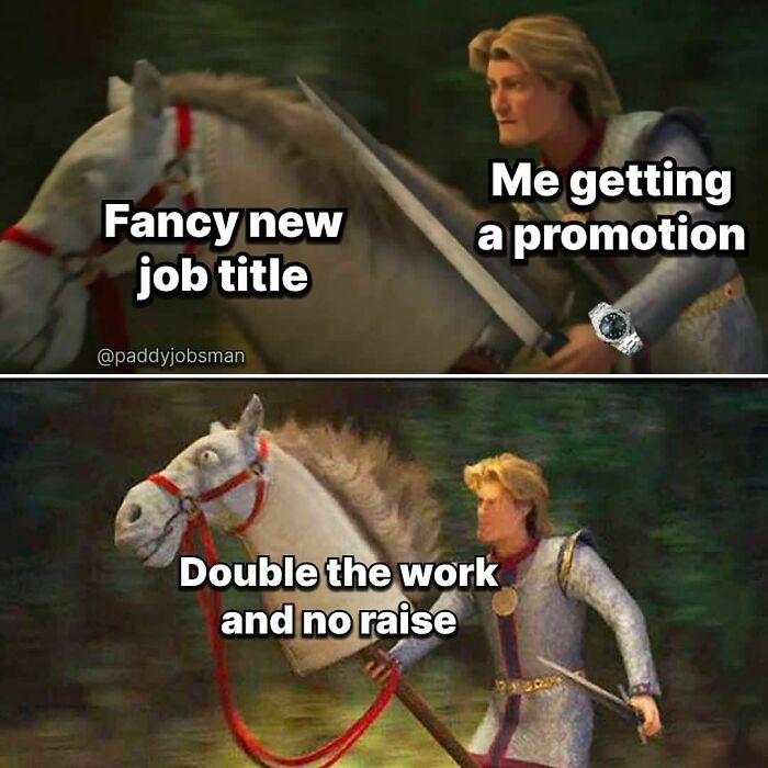 Funny-Work-Memes-Paddyjobsman
