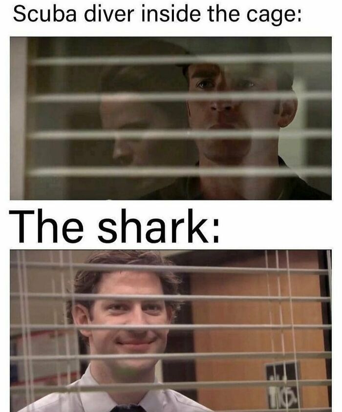The-Office-Show-Memes