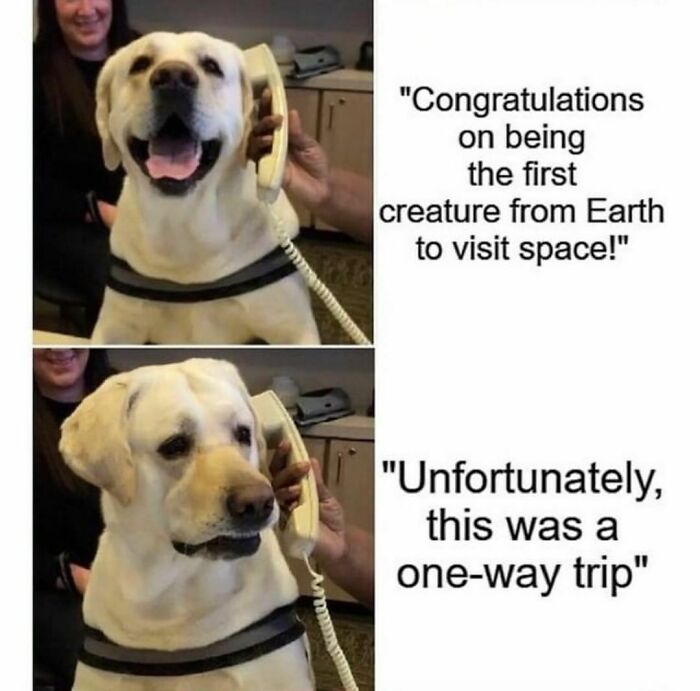 Funny-Uncensored-History-Memes