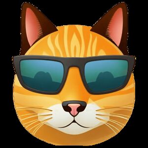 sarah-suelzle avatar