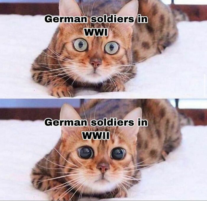 Funny-Uncensored-History-Memes