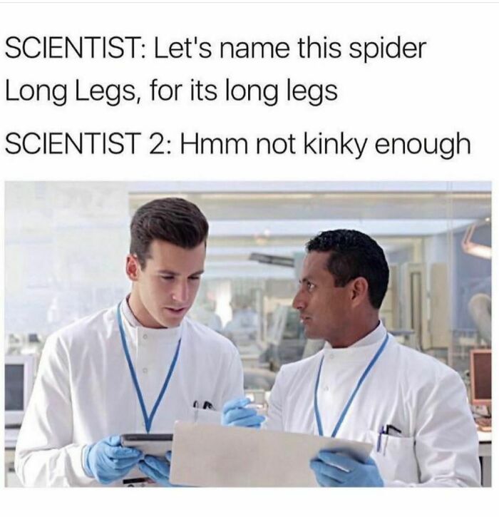 Scientists in lab coats discussing funny spider name meme.