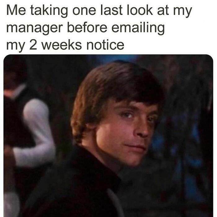 Funny-Work-Memes-Paddyjobsman