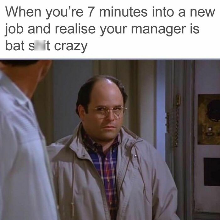 Funny-Work-Memes-Paddyjobsman