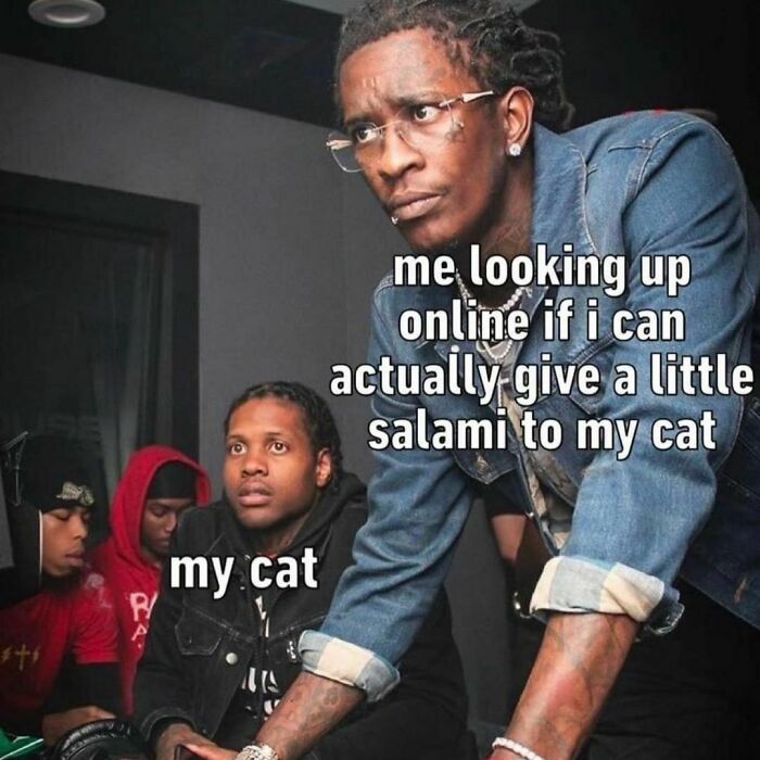 Mind-Numbing-Memes-Themuffreport