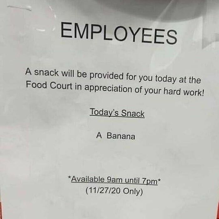 Funny-Work-Memes-Paddyjobsman