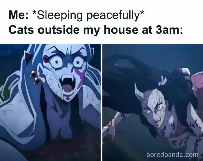 Demon Slayer meme: "Me: Sleeping peacefully. Cats outside my house at 3am:" with fierce Daki and Nezuko expressions.