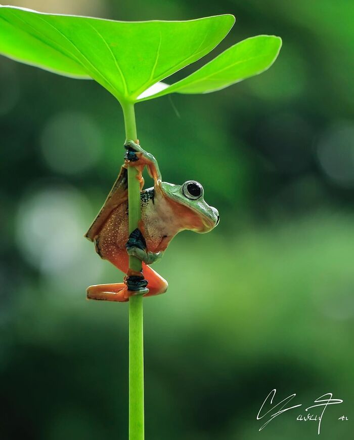 Exploring The World Up Close: Inside The Instagram Phenomenon Of "Macro Photography"
