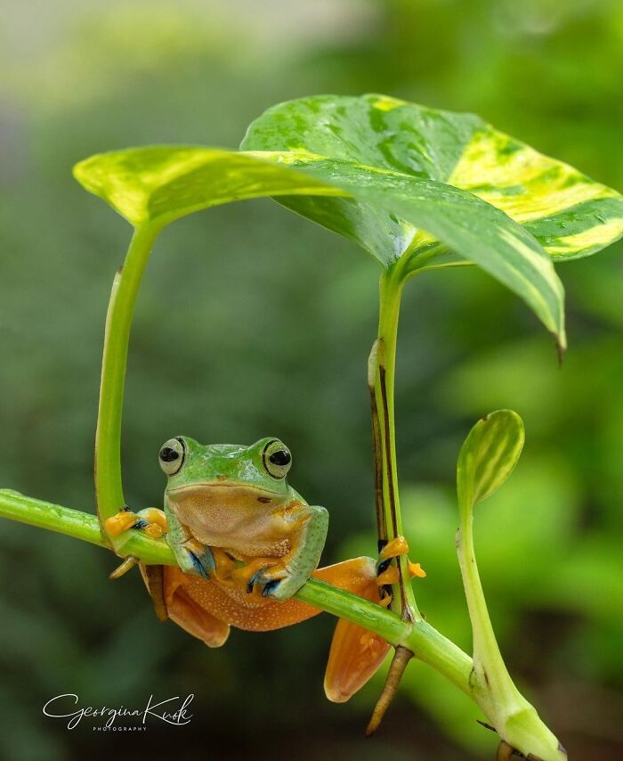 Exploring The World Up Close: Inside The Instagram Phenomenon Of "Macro Photography"