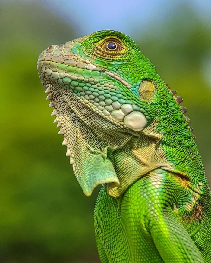 Exploring The World Up Close: Inside The Instagram Phenomenon Of "Macro Photography"