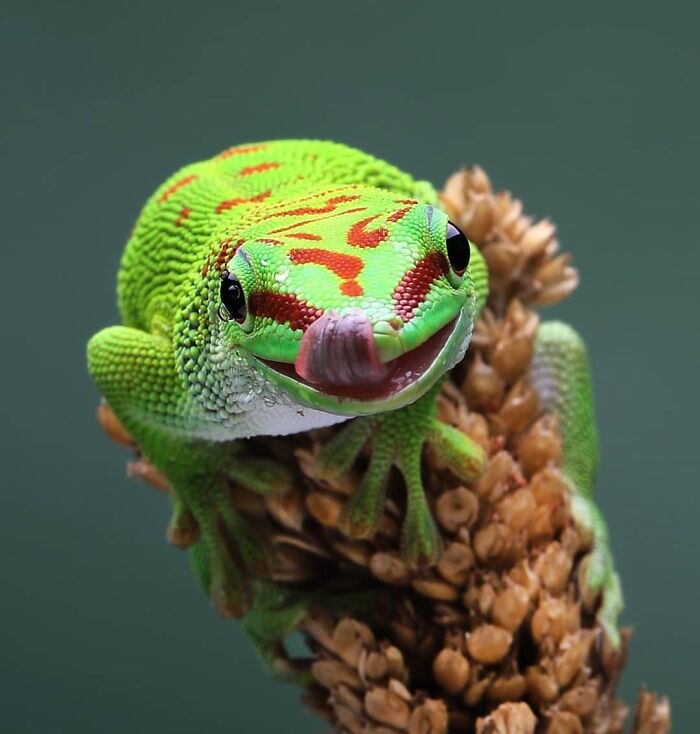 Exploring The World Up Close: Inside The Instagram Phenomenon Of "Macro Photography"