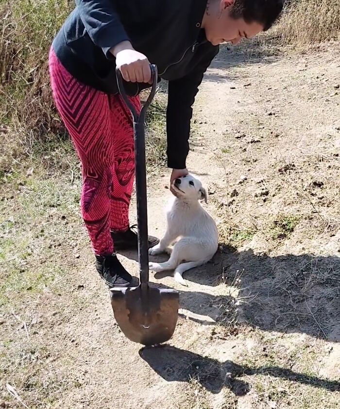 A Woman Lays Her Dear Old Dog To Rest When Suddenly Abandoned Puppy Appears Out Of Nowhere