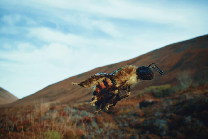 I Make Honey Bees From Wool (8 Pics)