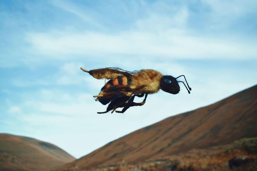 I Make Honey Bees From Wool (8 Pics)