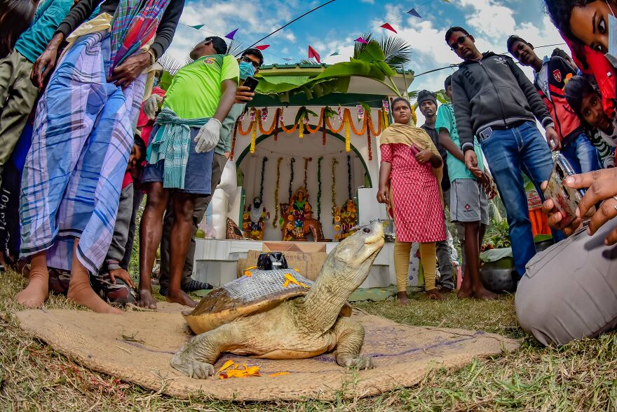 "Satellite-Tagged Rewilding Hope" By Upamanyu Chakraborty, India