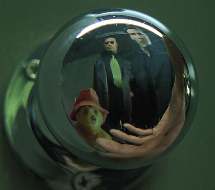 Paddington Bear Goes Viral In Famous Pop Culture Scenes