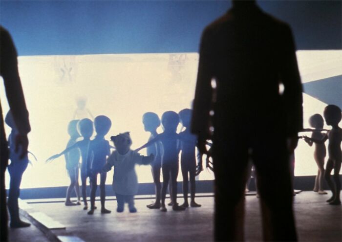 Paddington Bear Goes Viral In Famous Pop Culture Scenes