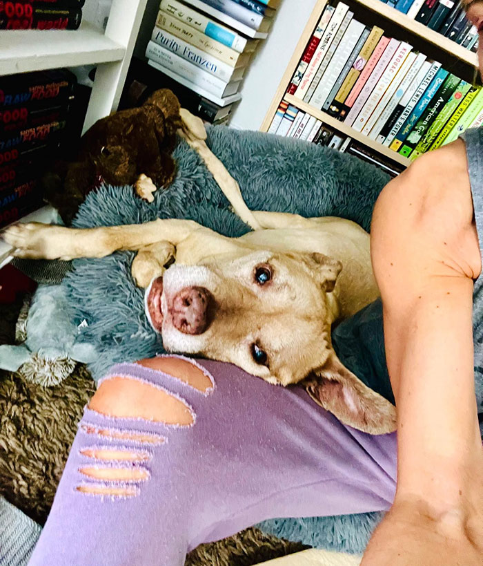 Sarma Melngailis Says She &ldquo;Wasn&rsquo;t Expecting&rdquo; To Lose Her Dog Which She Sought Immortality For