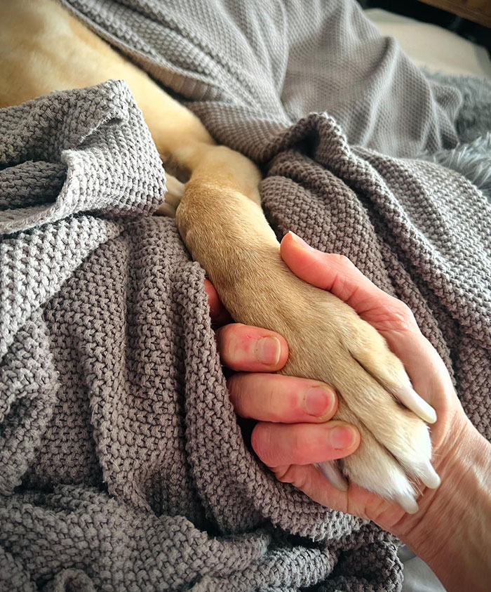 Sarma Melngailis Says She &ldquo;Wasn&rsquo;t Expecting&rdquo; To Lose Her Dog Which She Sought Immortality For