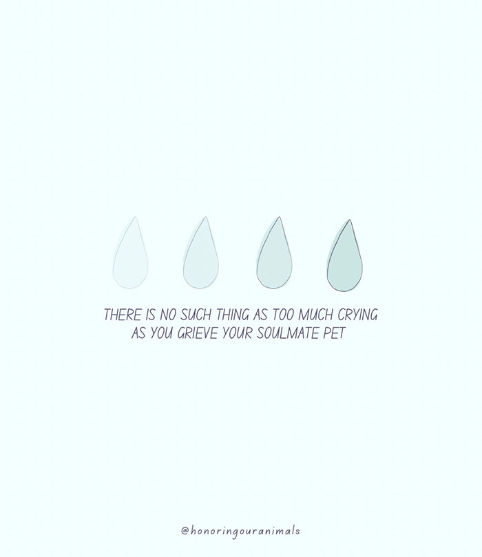 Sarma Melngailis Says She &ldquo;Wasn&rsquo;t Expecting&rdquo; To Lose Her Dog Which She Sought Immortality For