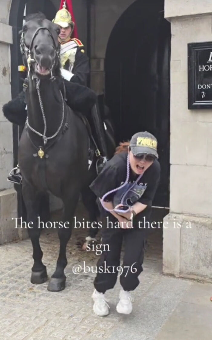 Tourist Bitten By King&rsquo;s Guard Horse After Ignoring Warnings And Getting Too Close