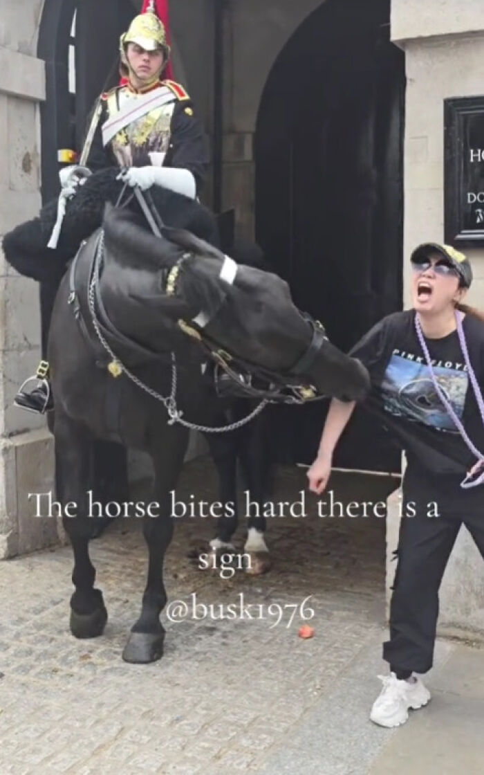 Tourist Bitten By King&rsquo;s Guard Horse After Ignoring Warnings And Getting Too Close