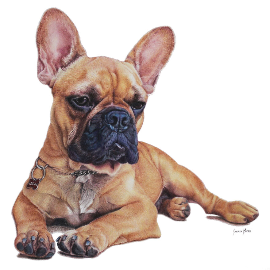 The Very Cool New Issue Of Ilustrar Magazine Is Ready!