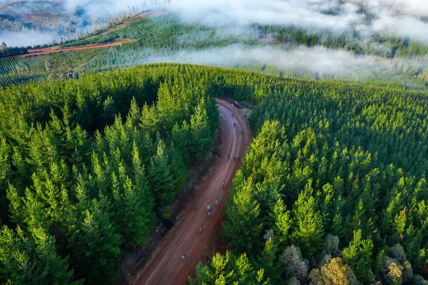 Bronze In Venues And Views: "Seven Climbs" By Daniela Tommasi