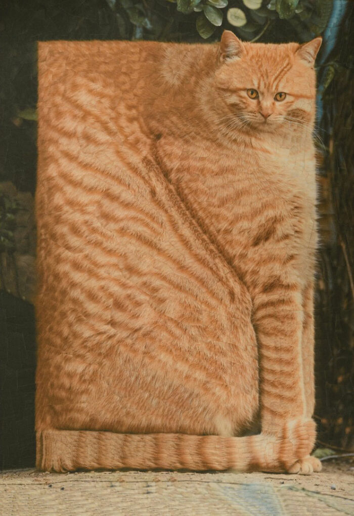 Transforming Animals: Lola Dupre's Artistic Fusion